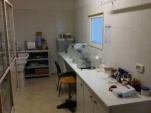 lab.